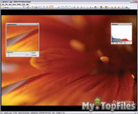 Look at screenshot of ACDSee Pro Photo Manager