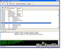 Look at screenshot of PE Explorer