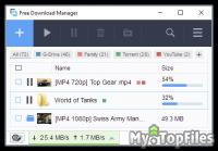 Look at screenshot of Free Download Manager
